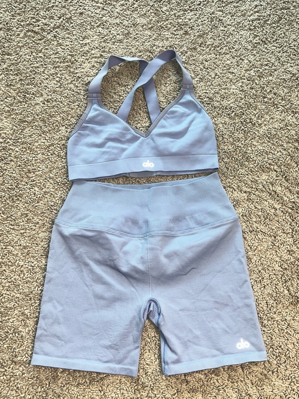 Alo purple seamless ribbed workout set!